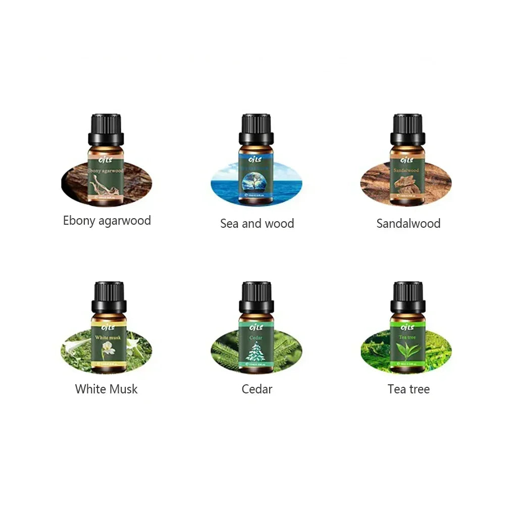 6 Piece Essential Oil Set Aromatherapy Diffuser Sandalwood Cedar Tea Tree Musk