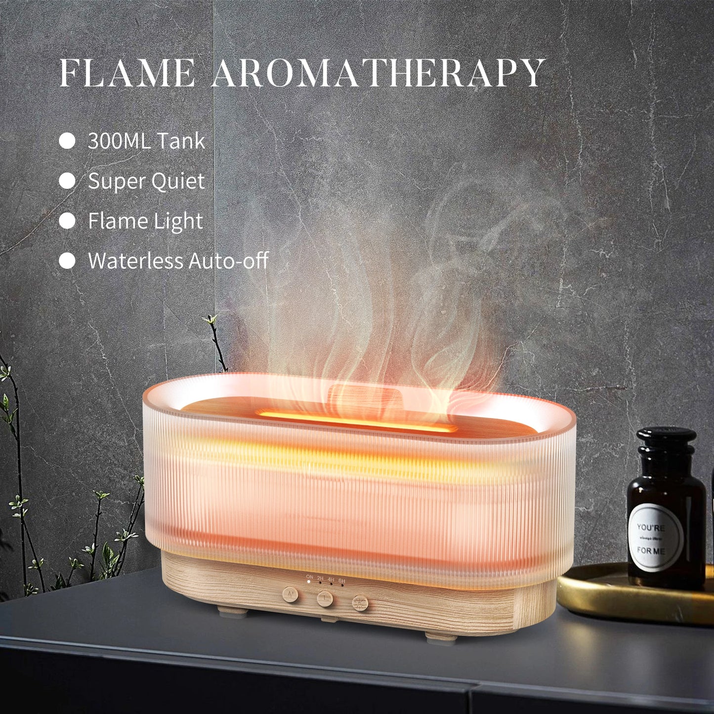 SEJOY Ultrasonic Air Humidifier And Aroma Diffuser With LED Lamp