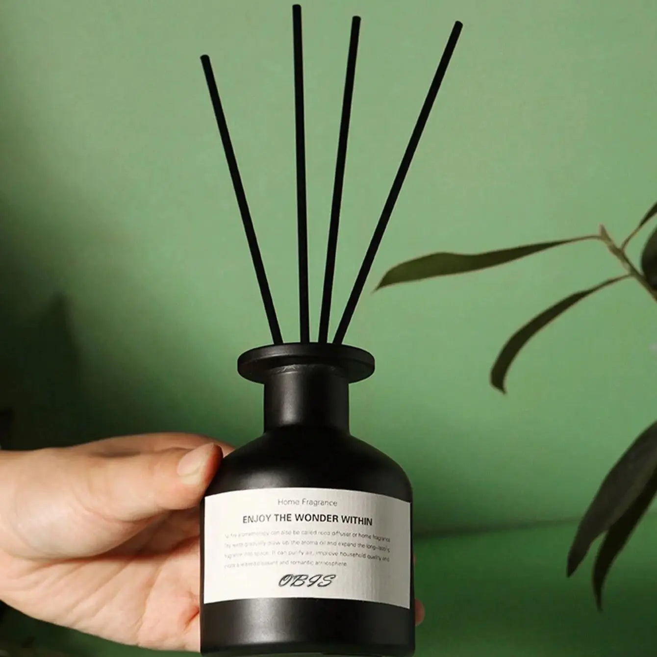Zen Active Living Freesia Reed Diffuser And Jasmine Fragrance Oil For Home