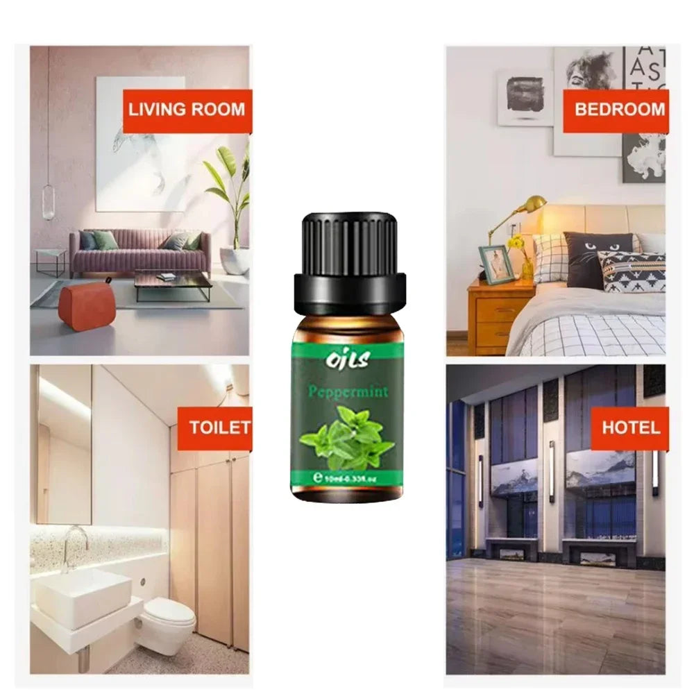 6 Luxury Essential Oils Gift Set Spa Quality Aromatherapy Kit