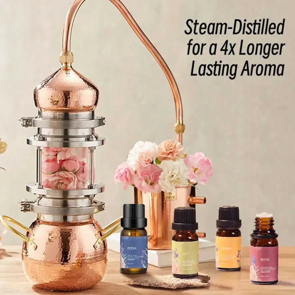 Hign-concerned 6 Piece Essential Oil Set For Aromatherapy Diffusers