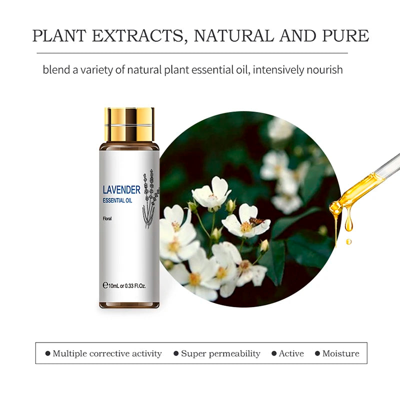 HIQILI Essential Oils Set Lavender Eucalyptus Jasmine Mint Rose