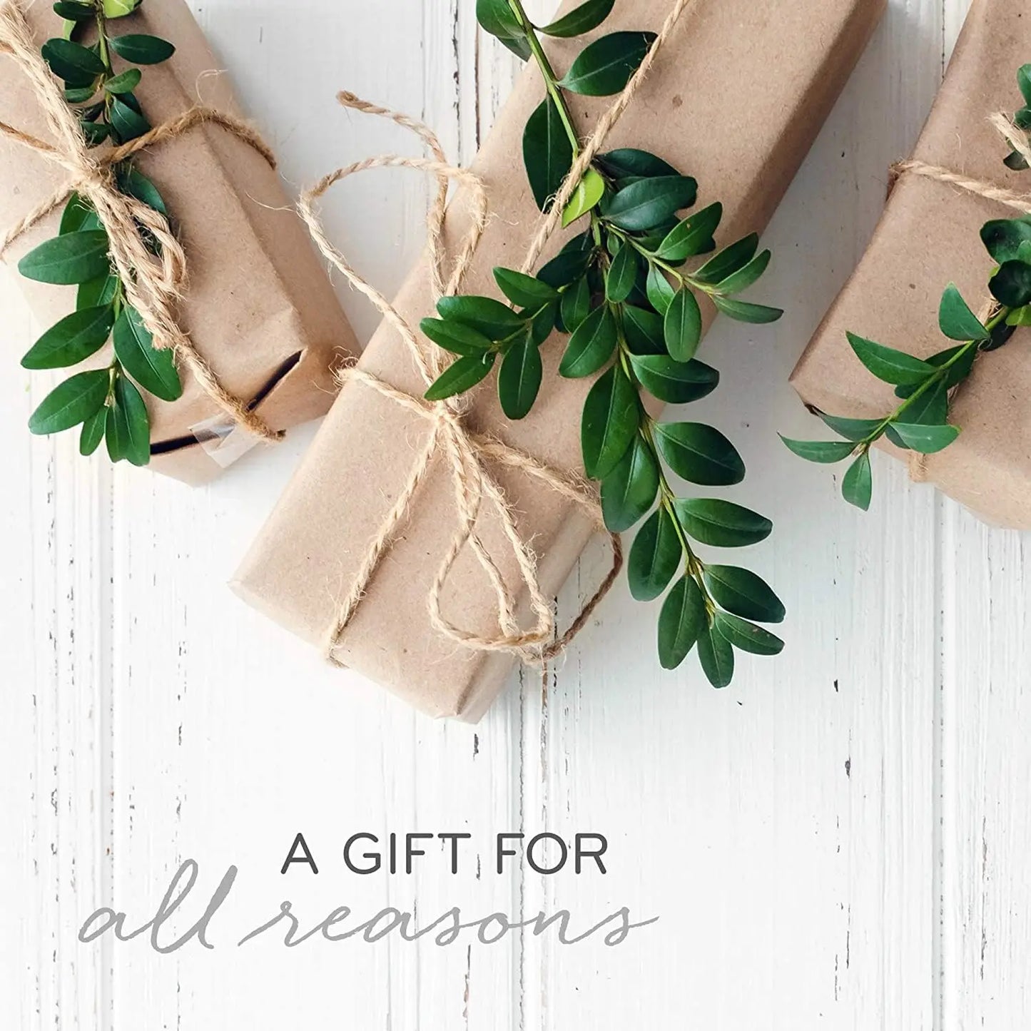 Zen Active Living Winter Sage Eucalyptus Cypress Scented Candle